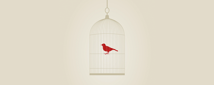 哪个平台最稳定的安卓ddos攻击工具